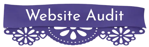 Website Audit CTA button to navigate to Web Audit page for Fiesta Web Creative